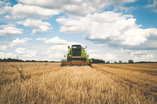 Mission Man to Compete for Ag Award