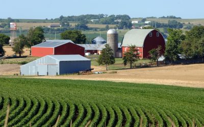 Ag Economists Say US Ag Ended 2024 in Recession