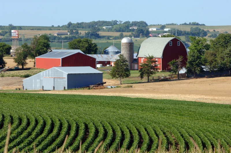 Ag Economists Say US Ag Ended 2024 in Recession