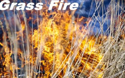 Area Fire Departments Respond to Grass Mountain Fire