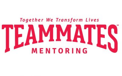 Valentine Teammates Mentoring Reports 30 Matches