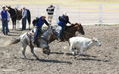 Valentine Contestants Deliver Stellar Showing at NPCC Rodeo