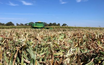 South Dakota Crop Report