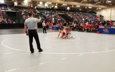 State Dual Wrestling