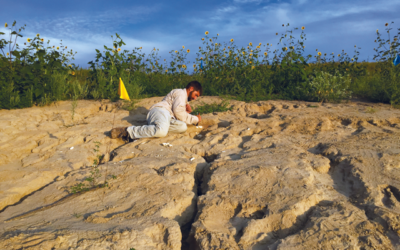 Discover Niobrara’s Fossil Past