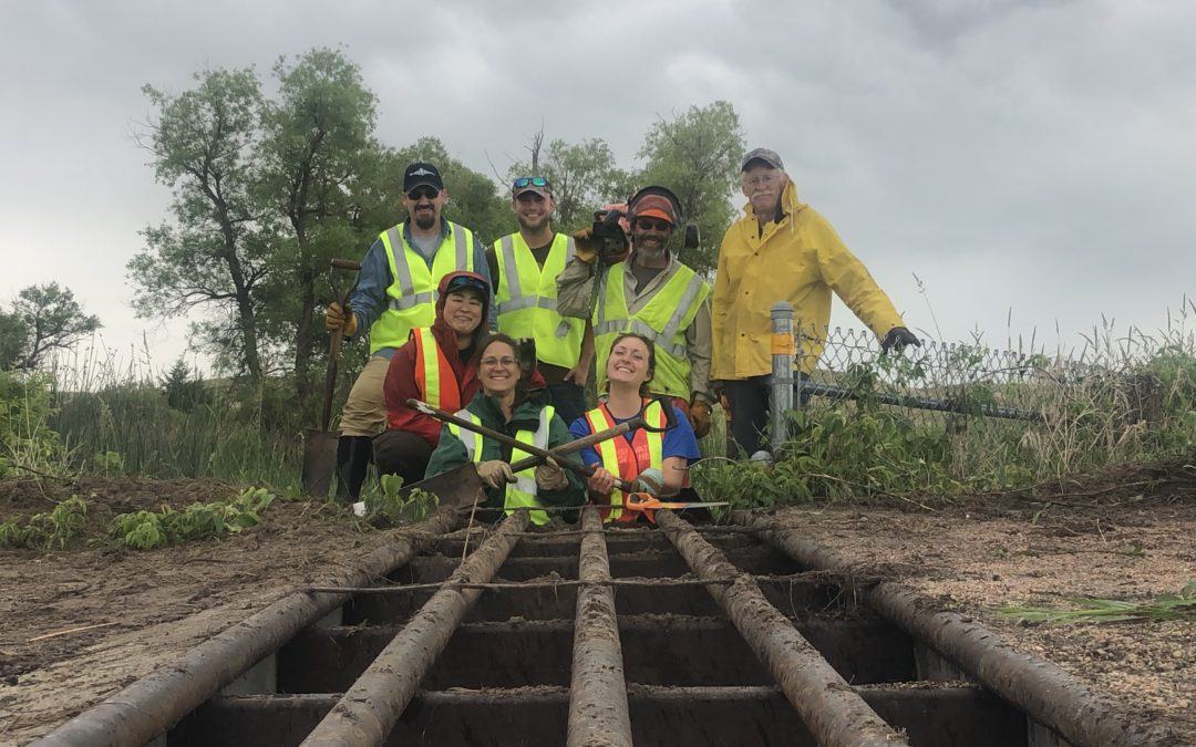 Volunteers Team Up with Refuge Staff to Repair Turtle Fences