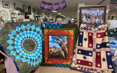 Bull Bash Quilt Show Results