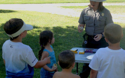 NSR Citizen Science Projects