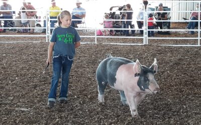 Cherry County Fair Continues