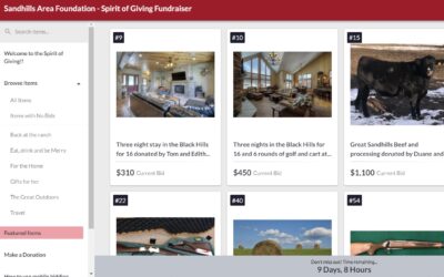 Sandhills Area Foundation Online Auction Underway