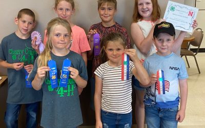 4-H Special Foods Contest Results