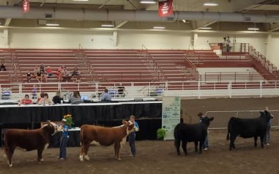 State Fair Results