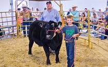 Cherry Count Fair Livestock Results