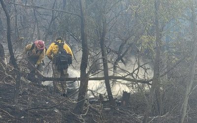 Friday Update on Bovee Fire at Halsey