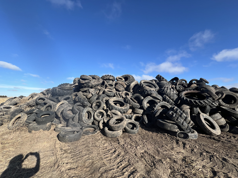 Newport NE Tire Collection Update