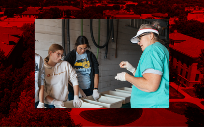 Nebraska Extension’s Sandhills Beef Educator Has Dream Position in Nebraska Sandhills