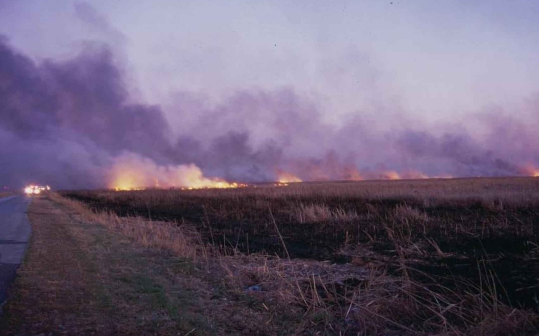 Prescribed Burn Workshop Planned For May 9th